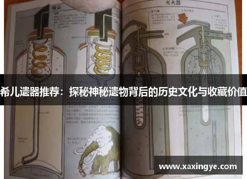 希儿遗器推荐:探秘神秘遗物背后的历史文化与收藏价值